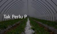Tak Perlu Pakai Racun, Coba 7 Cara Alami Ini untuk Mengusir Tikus
