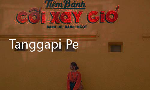 Tanggapi Pernyataan Ketua DPC Gerindra Jaktim Soal Anies, Legislator: Caper dan Gak Jelas!