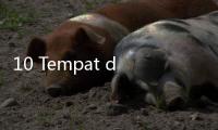 10 Tempat di Dunia Ini Jarang Kena Sinar Matahari, Ada 1 di Ujung Bumi